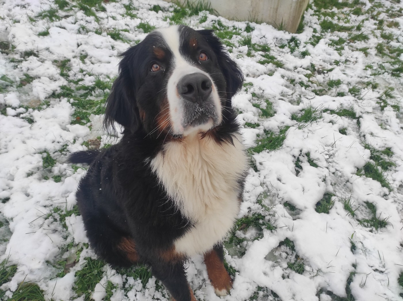 Toscane  Du Domaine De La Lune Rousse