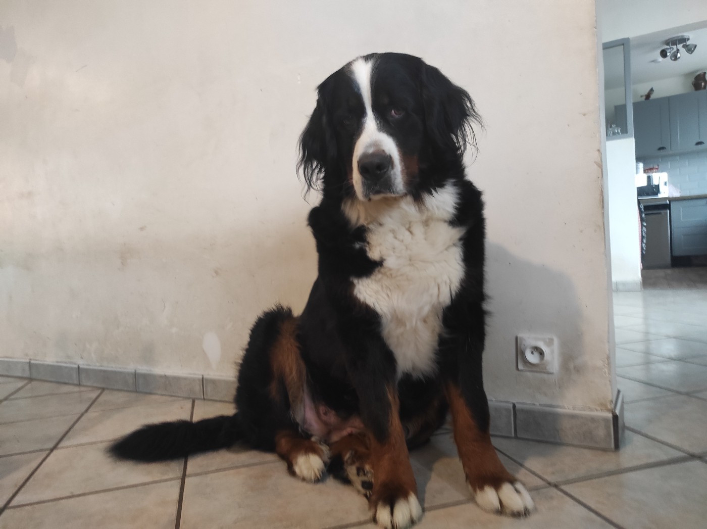 Toscane du domaine de la lune rousse